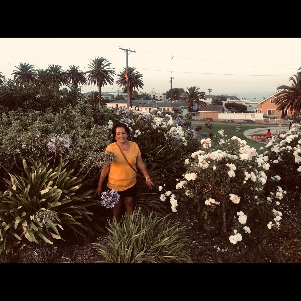 Meet your Posher, Ely